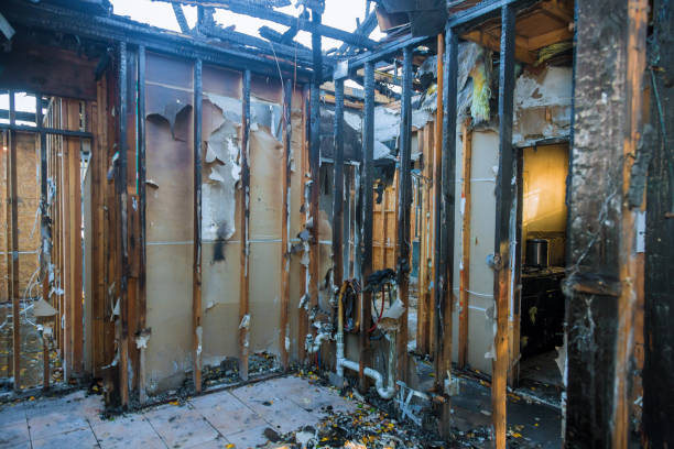 Professional Smoke Damage Removal technician working in Taft, FL